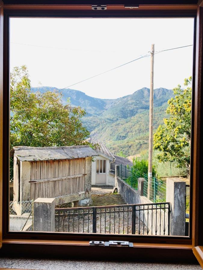 Villa "Casa Do Avo Armindo" Mountain Experience Vila Real Exterior foto